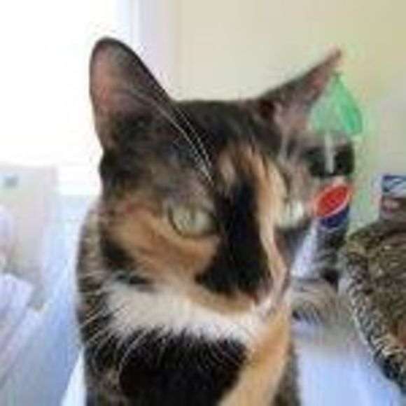 Meet your Posher, Matthew - Picture 1 of 1